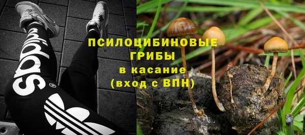 гидропоника Михайловск