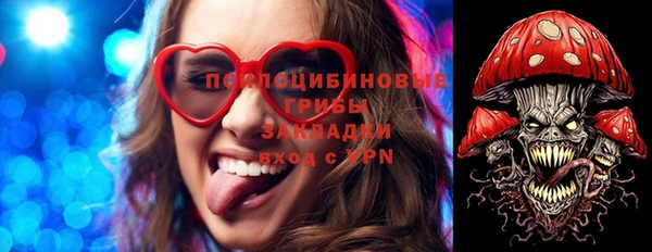 гидропоника Михайловск