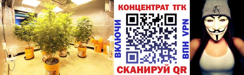 KRAKEN рабочий сайт  Кашира  Дистиллят ТГК гашишное масло  где купить наркотик 